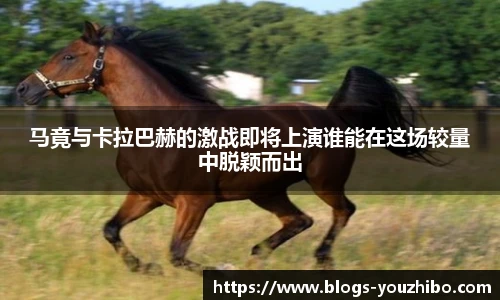 you体育直播